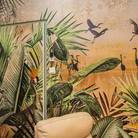 旅馆 阿卡西亚旅舍 *